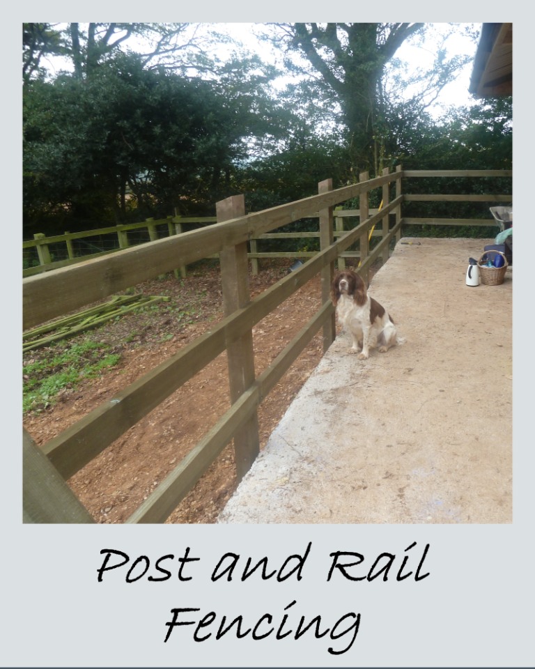 Post Rail Fencing