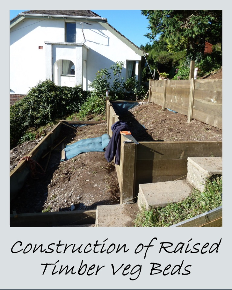 Construction of Raised Timber Vegetable Beds
