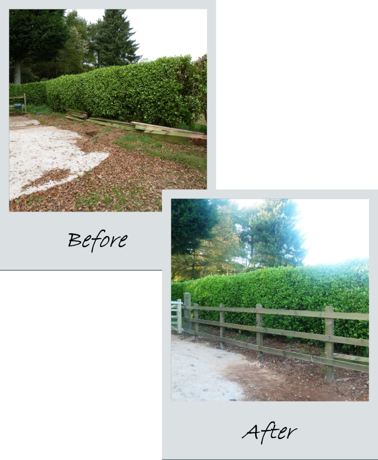 Post Rail Fencing: Before and After